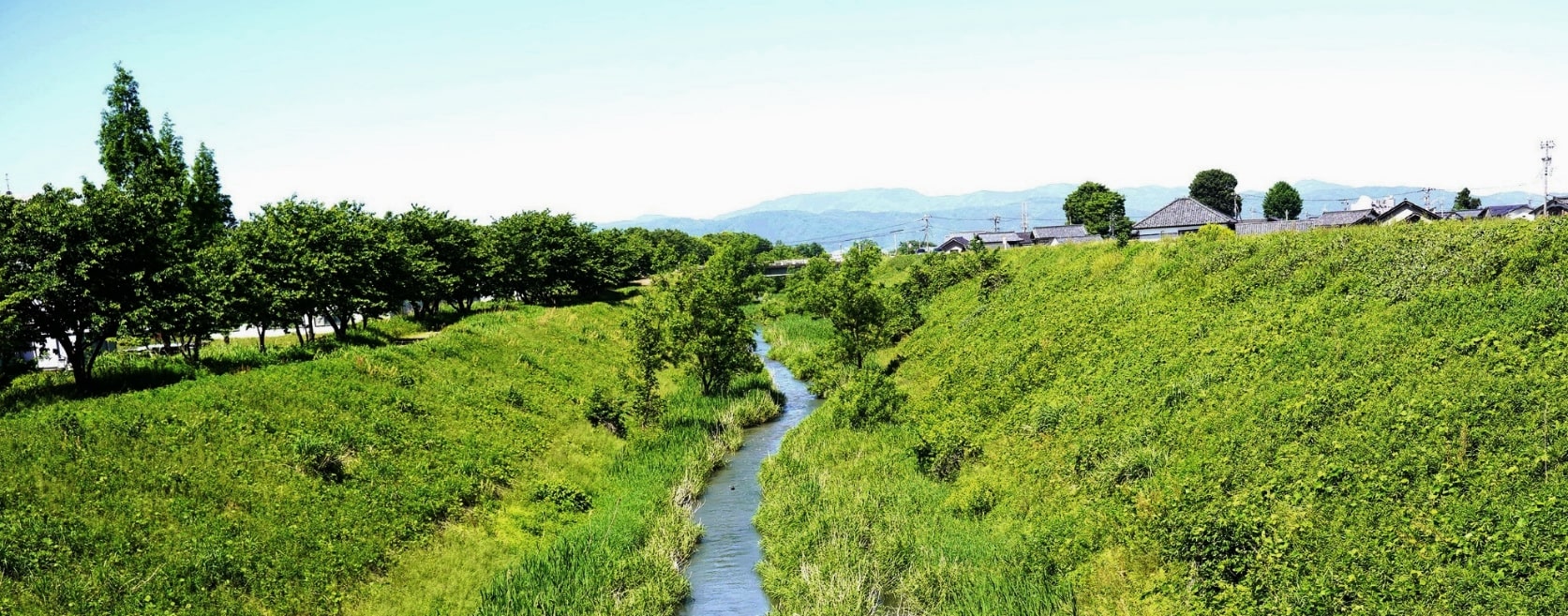 九頭竜川堤防内小川　坂井市